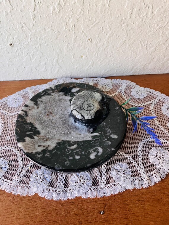 Black Ammonite and Orthoceras Oval Tray - image 7