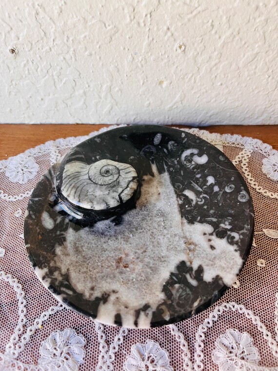 Black Ammonite and Orthoceras Oval Tray - image 2