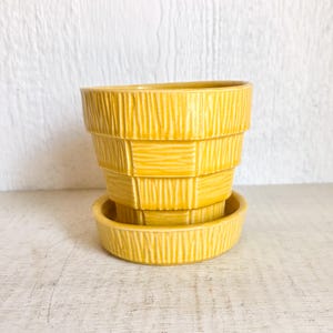 May include: A yellow ceramic planter with a matching saucer. The planter has a textured, basket-weave design. The color is a bright, sunny yellow. The planter is designed to hold plants and flowers.