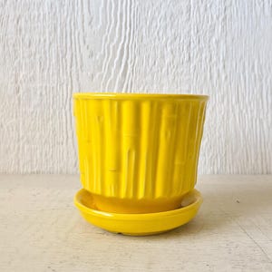 May include: A bright yellow ceramic planter with a matching saucer. The planter has a textured, vertical ribbed design. The set is made of ceramic and is suitable for indoor or outdoor use. The planter is a vibrant addition to any home decor.