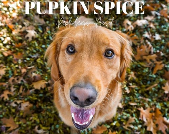 Pupkin Spice Preset