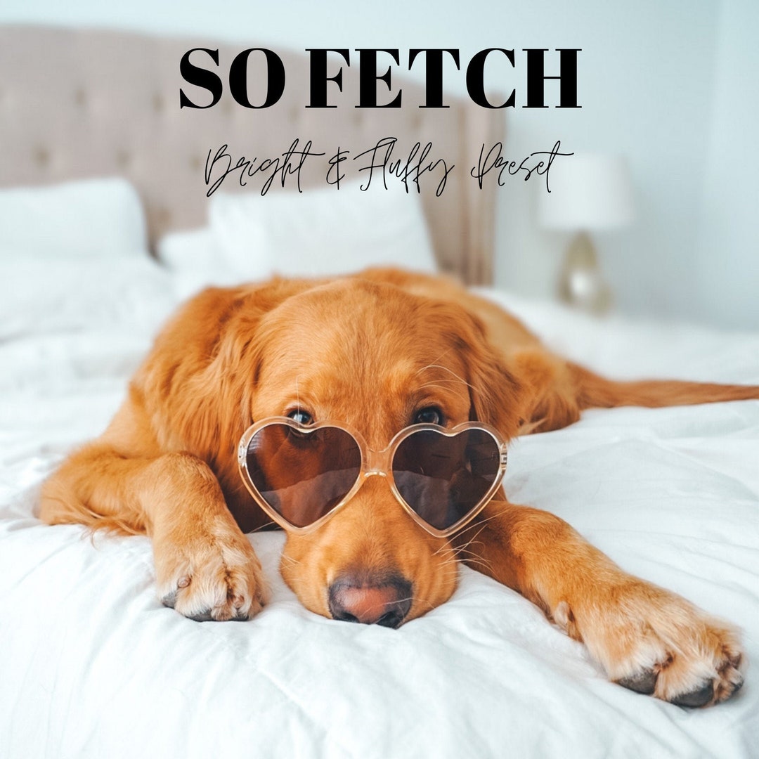 So Fetch Preset - Etsy