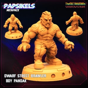Krasnoludzki uliczny bijatyk Pandak / Sci-Fi Cyberpunk / Papsikels