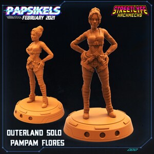 PAMPAM FLORES - Outerland Solo / Streetlyfe Hachmechs / February 2021 / Cyberpunk / Papsikels