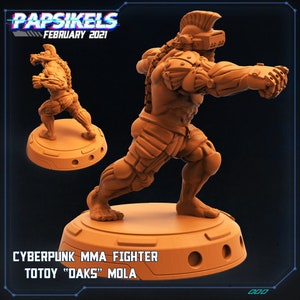 TOTOY DAKS MOLA -  Mma Fighter / Streetlyfe Hachmechs / February 2021 / Cyberpunk / Papsikels