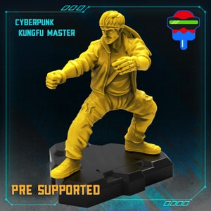 Cyberpunk Kungfu Master / Sci-Fi Cyberpunk / Papsikels