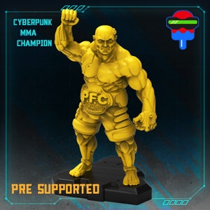 Campeão Cyberpunk Mma / Cyberpunk / Papsikels