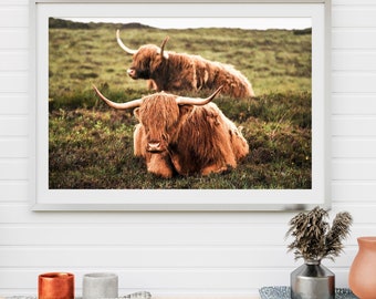 Highland Cow Wall Art Print, Printable Highland Cow Digital Poster, Farmhouse Wall Decor, Rustic Wall Art, Farm Animal Print - PWA0018