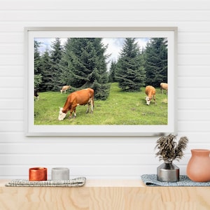 Cows Wall Art Print, Animal Wall Art, Rustic Wall Art, Cow Poster, Nature Prints, Cow Printable, Animal Prints, Animal Photography - PWA0088