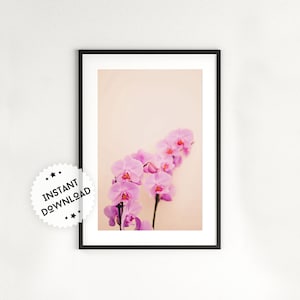 Pink Orchid Art Print | Botanical Print | Orchid Wall Art | Flower Art Print | Orchid Poster | Flower Canvas Art | Nature Pink Wall Art