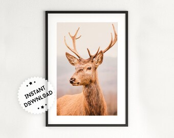 Impresión de arte de pared de ciervo / Impresión de arte de pared de animales / Póster de ciervo / Decoración de pared para guardería / Foto de ciervo / Arte de pared de ciervo / Decoración bohemia imprimible de ciervo
