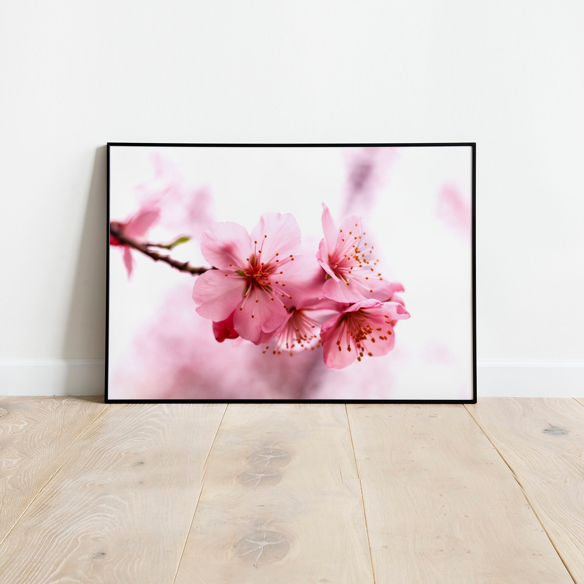 Pink Cherry Blossom Wall Art Print Spring Art Print Spring Flower Art