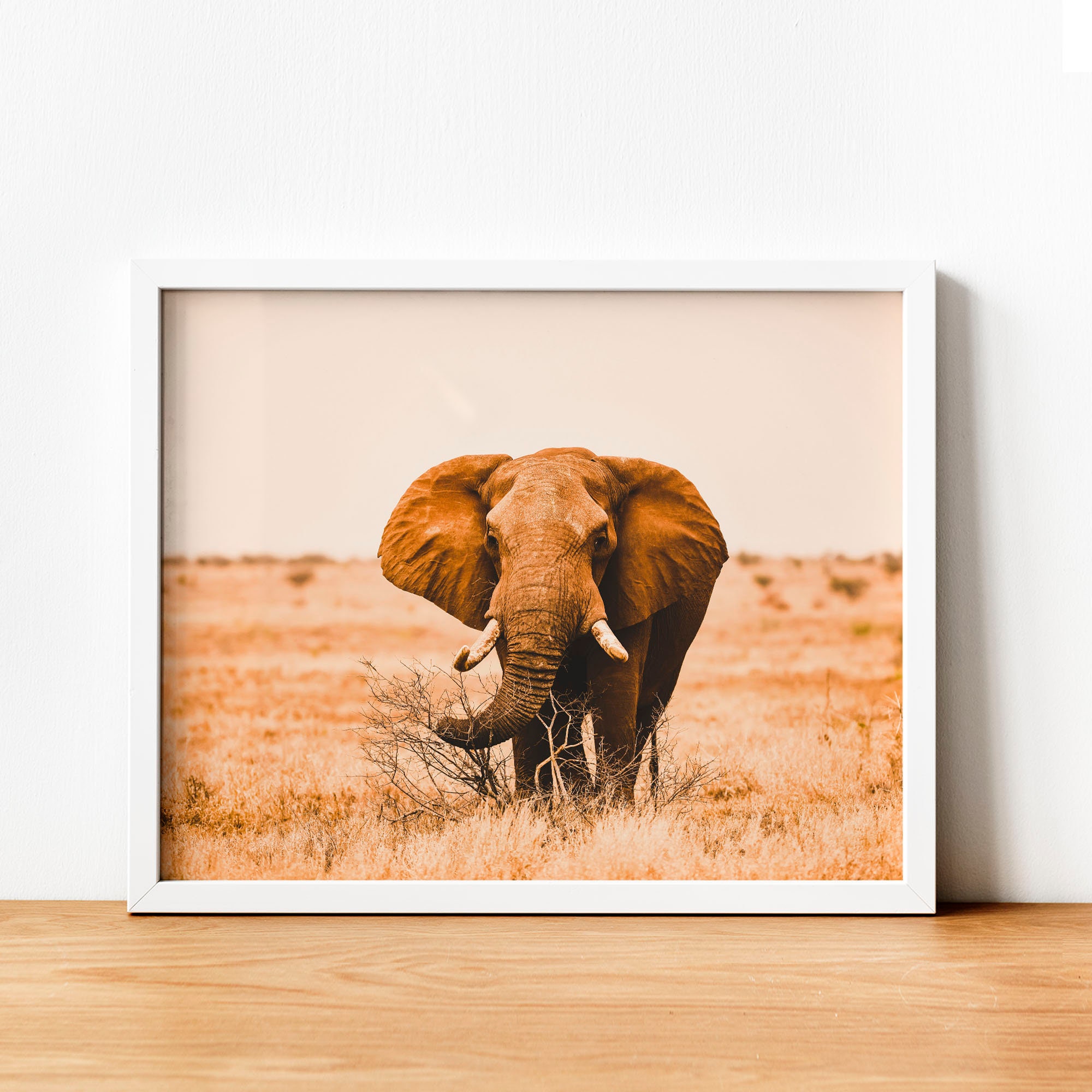 Elephant Wall Art Elephant Canvas Elephant Wall Decor | Etsy