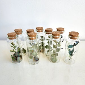 Assorted Dried Flower Mini Glass Bottle, Table Decor, Gift Ideas, Mother's Day