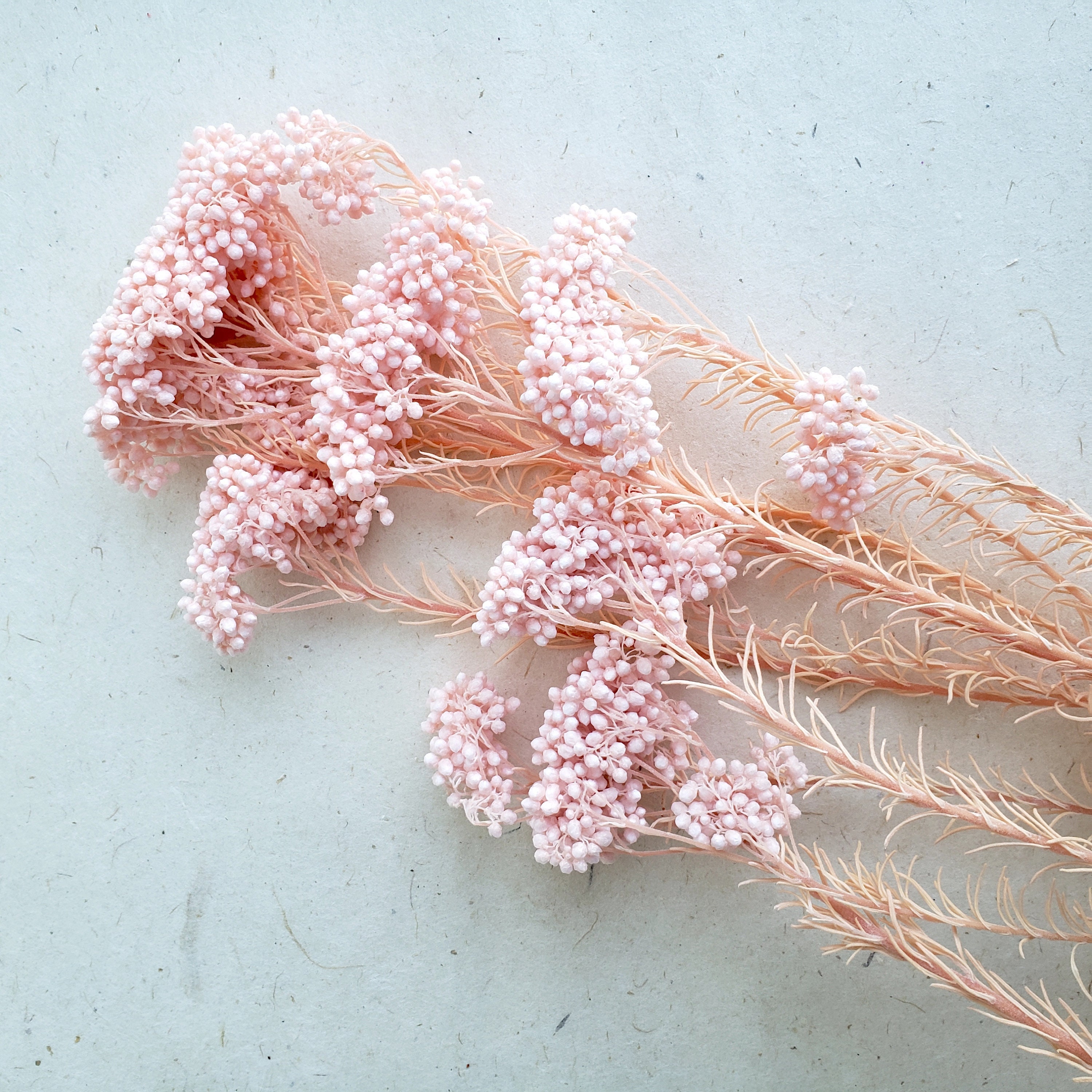 Preserved Rice Flower DIY Flower Arrangement Wedding Flower Etsy