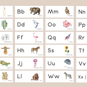Language Cabinet Labels - Print