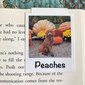 Personalized Polaroid Bookmark, Photo Bookmark, Pet Magnetic Bookmark, Gift for Her, Birthday Gift, Pet Sitter Gift, Vet Gift, Boo Gift