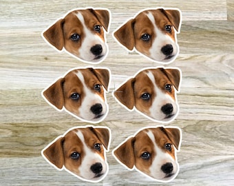 Custom Photo Stickers, Personalized Pet Stickers, Custom Face Stickers, Birthday Party Decor, Bachelorette, 50th Birthday, Vinyl Waterproof