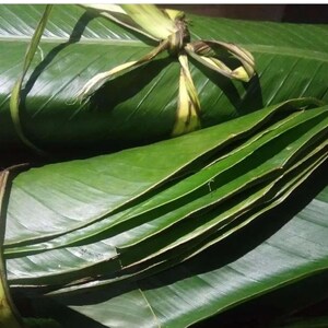 Moimoi Leaves, Ofada rice leaves