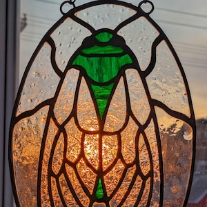 May include: A stained glass window depicting a cicada with a green body and clear wings. The wings are outlined in black and the body is outlined in black and green. The background is a sunset.