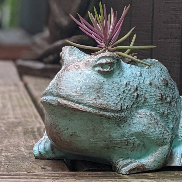 Designer Succulent planter - Handcrafted Toad planter pot, unique accent for home , gift for mom ,housewarming, light blue- antique finish