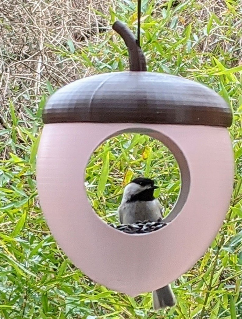 Acorn Bird Feeder: Modern Whimsical Hanging Birdfeeder image 4