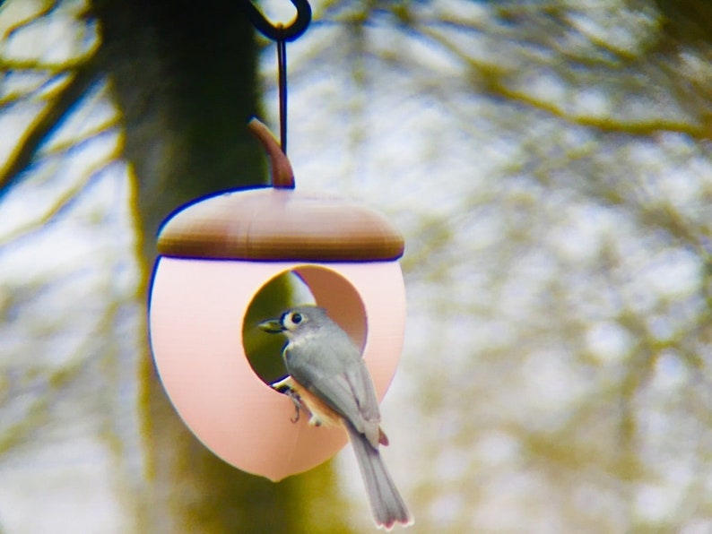 May include: A pink acorn-shaped bird feeder with a brown top and a circular opening. A small gray bird with a white eye ring is perched inside the feeder. The feeder is hanging from a black hook.