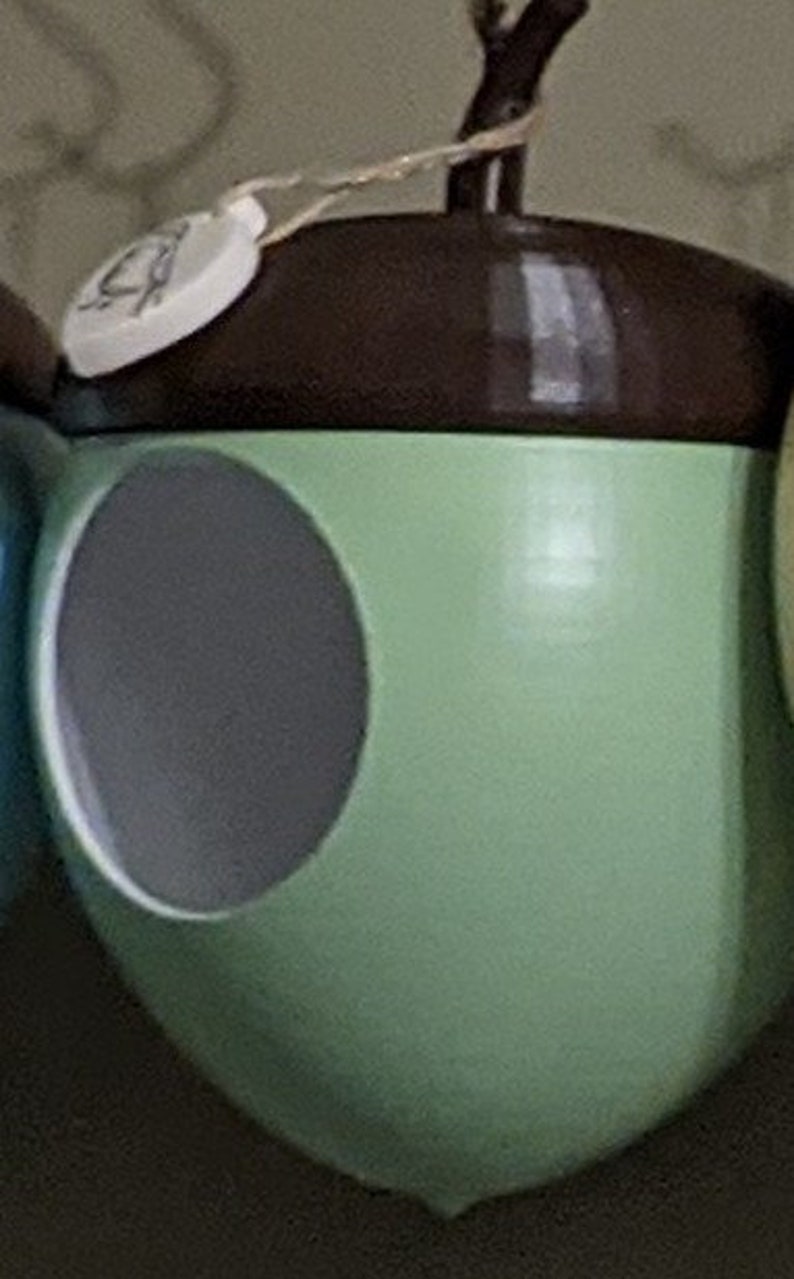 May include: A whimsical, acorn-shaped birdhouse. The birdhouse is painted in a light green color with a dark brown top. A circular opening is visible on the side. A small, white tag is attached with a string.