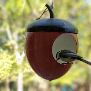 Acorn Bird Feeder: Modern Whimsical Hanging Birdfeeder maple red