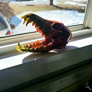 Lava Love Coyote