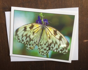 White Butterfly Card, Blank Photo Note Card