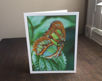 Green Butterfly Photo Card, Blank Note Card