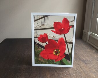 Red Tulips Photo Note Card, Blank Flower All-Occasion Card