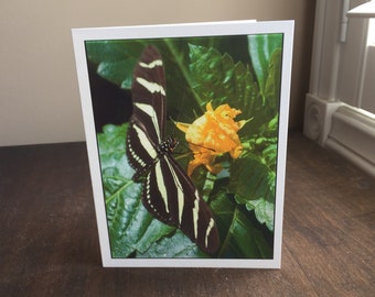 Black and Yellow Butterfly Card, Blank Photo Card