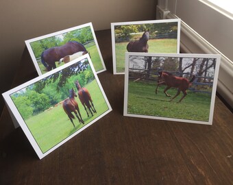 Horse Photo Cards, 4-Card Set of Blank Cards