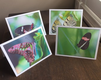 Butterfly Note Cards, Set of 4 Blank Photo Cards