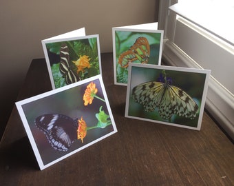 Butterfly Cards, Set of 4 Blank Note Cards