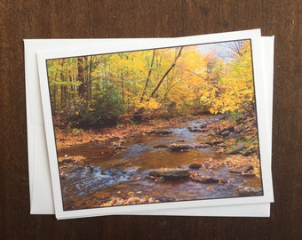 Autumn Scene Photo Card, Blank Card with Fall Colours