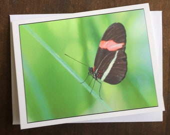 Butterfly Photo Card, Any Occasion Note Card