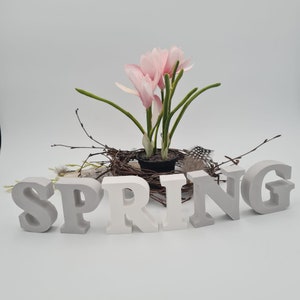 Letters Spring, Spring, decorative letters to set up, SPRING SPRING image 1