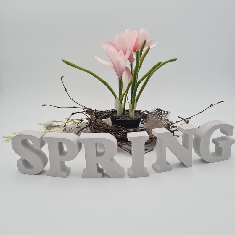 Letters Spring, Spring, decorative letters to set up, SPRING SPRING image 2