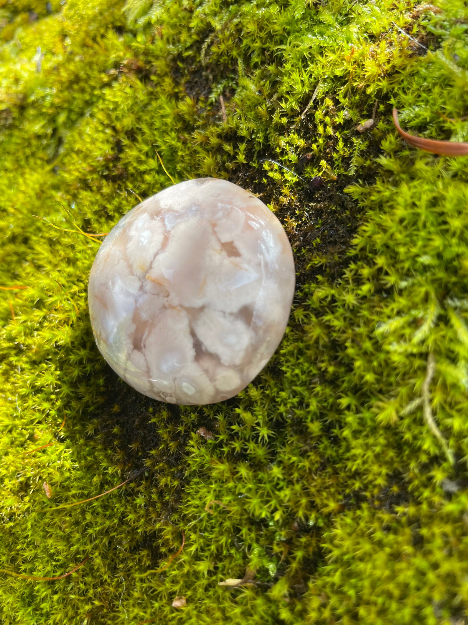 Flower Agate Crystal Etsy