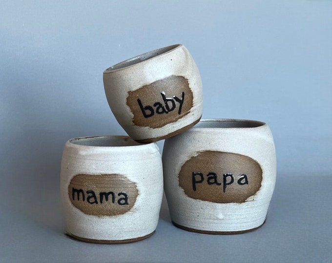 Bear Family Mugs