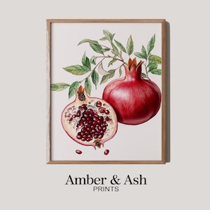 Vintage Botanical Pomegranate Illustration - Printable Fruit Wall Art, Ripe Pomegranate Decor, Detailed Kitchen Print, Rustic Home Decor