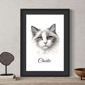 あなたの猫のカスタムペットポートレート - 白黒鉛筆画スタイル - 高解像度デジタルファイルまたはファインアートペーパープリント