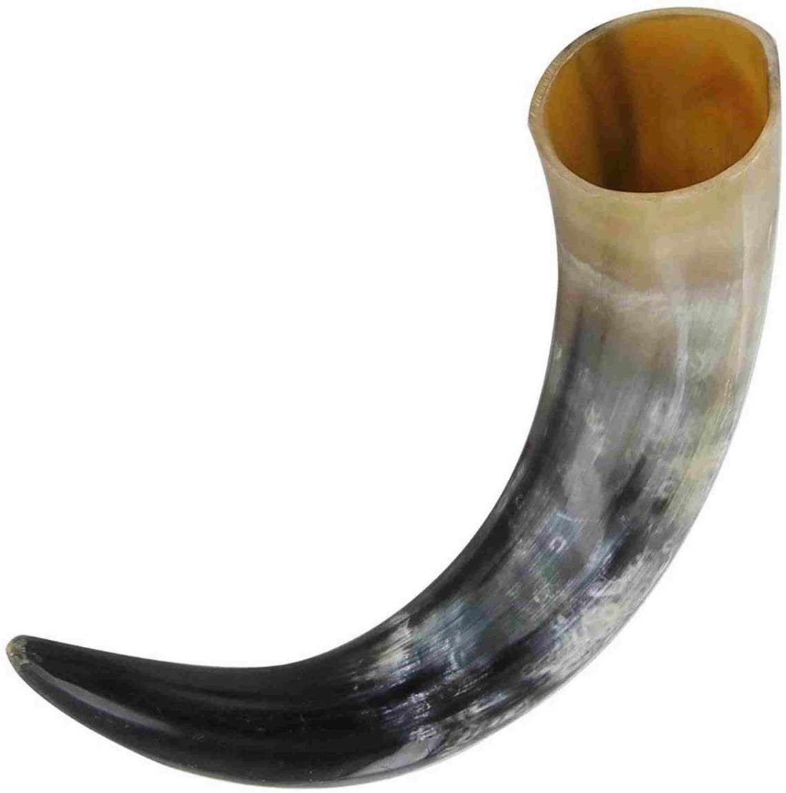 Authentic Drinking Horn Curved Style viking Style Genuine Etsy