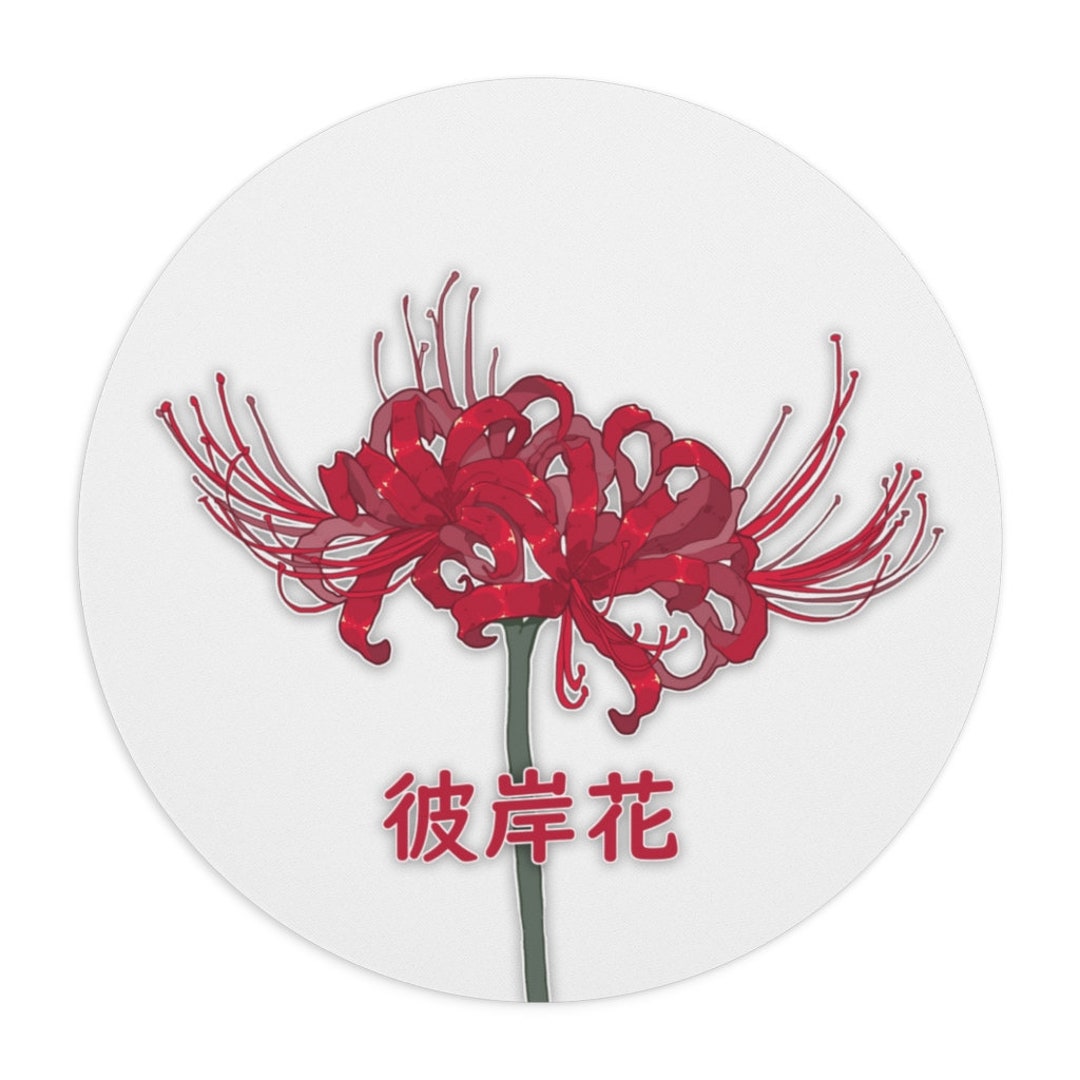 Spider lily png images  PNGWing