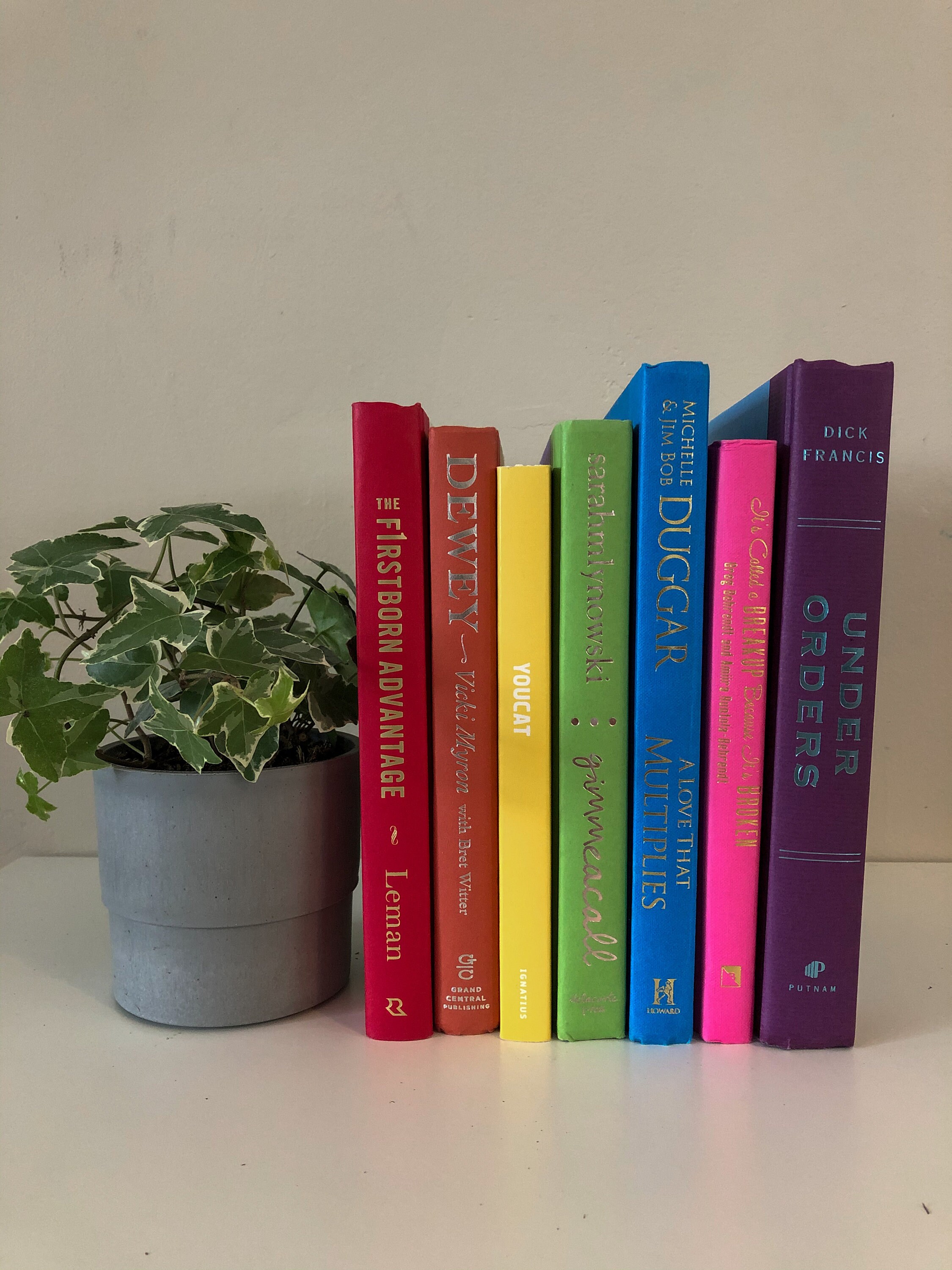 Rainbow Books Decorative Book Sets Book Bundles Book Stack Etsy