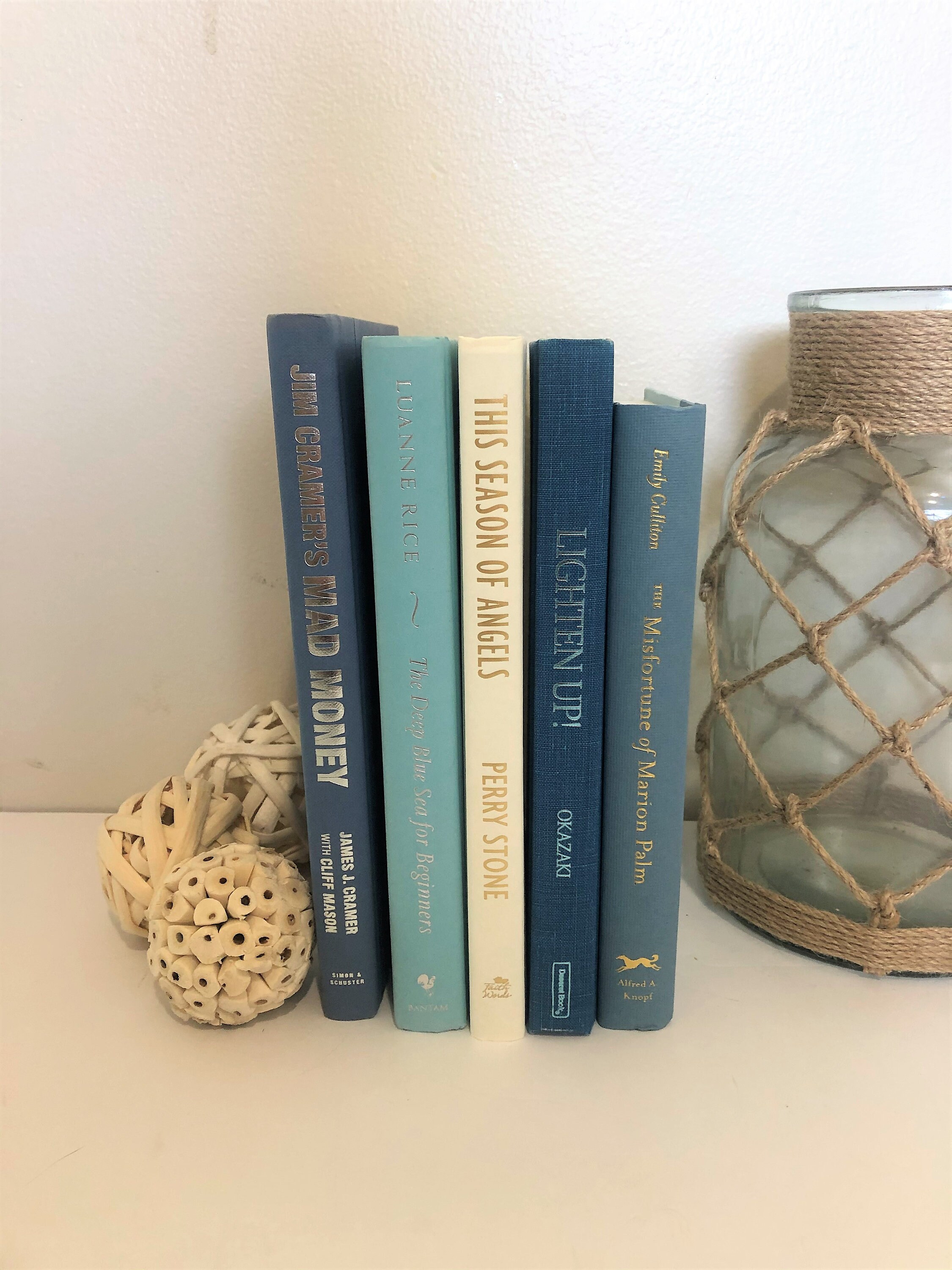 Decorative blue and white books for bookshelf or coffee table Etsy