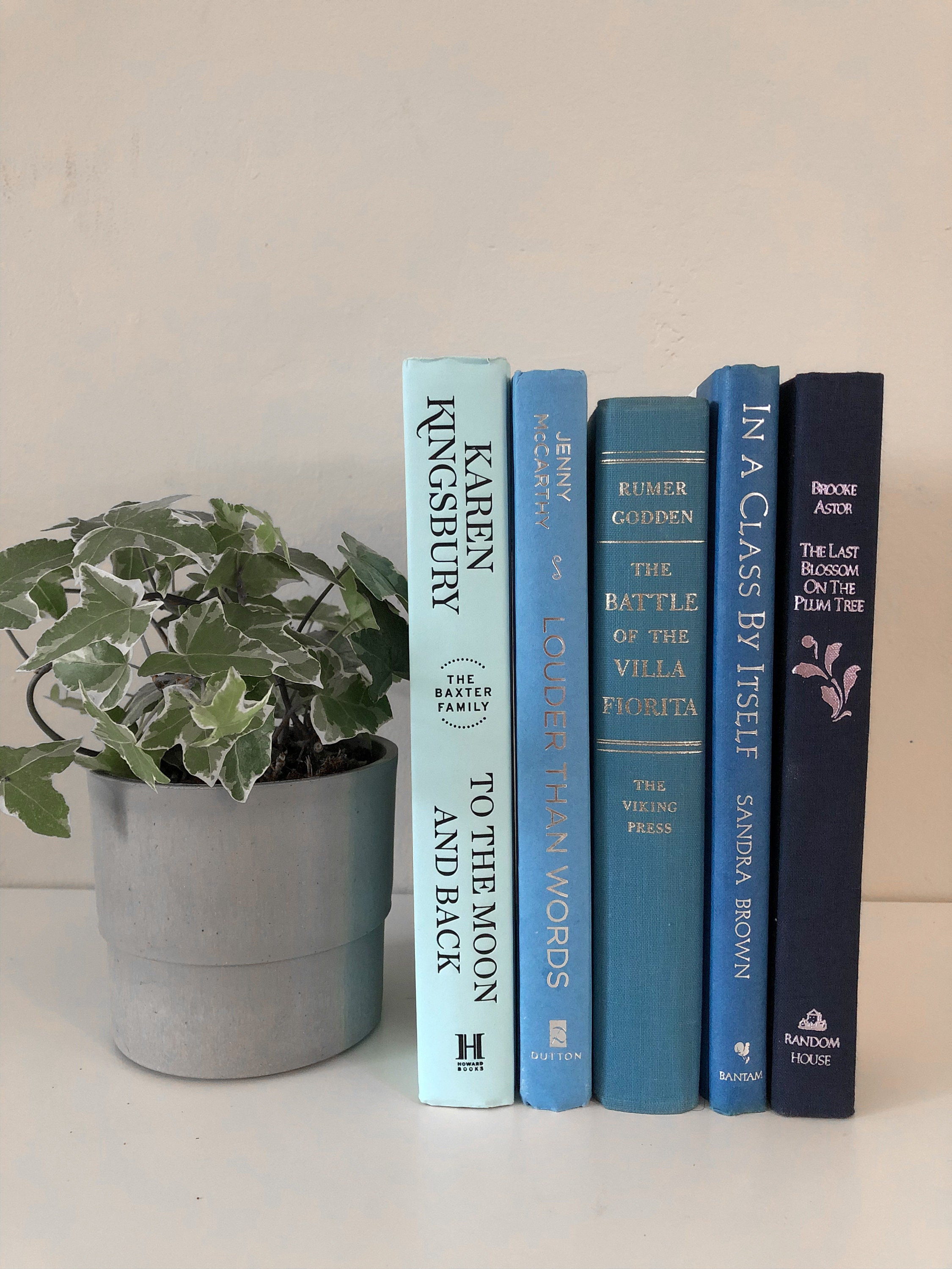 Blue Book Decor Blue Decorative Books Coastal Blue Books Etsy